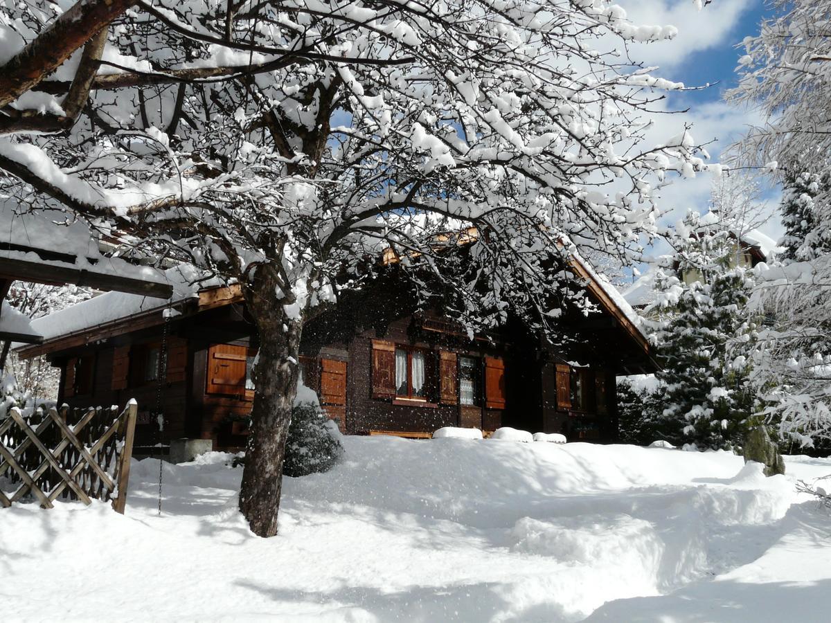 Chalet Des Glaciers Шамони Экстерьер фото