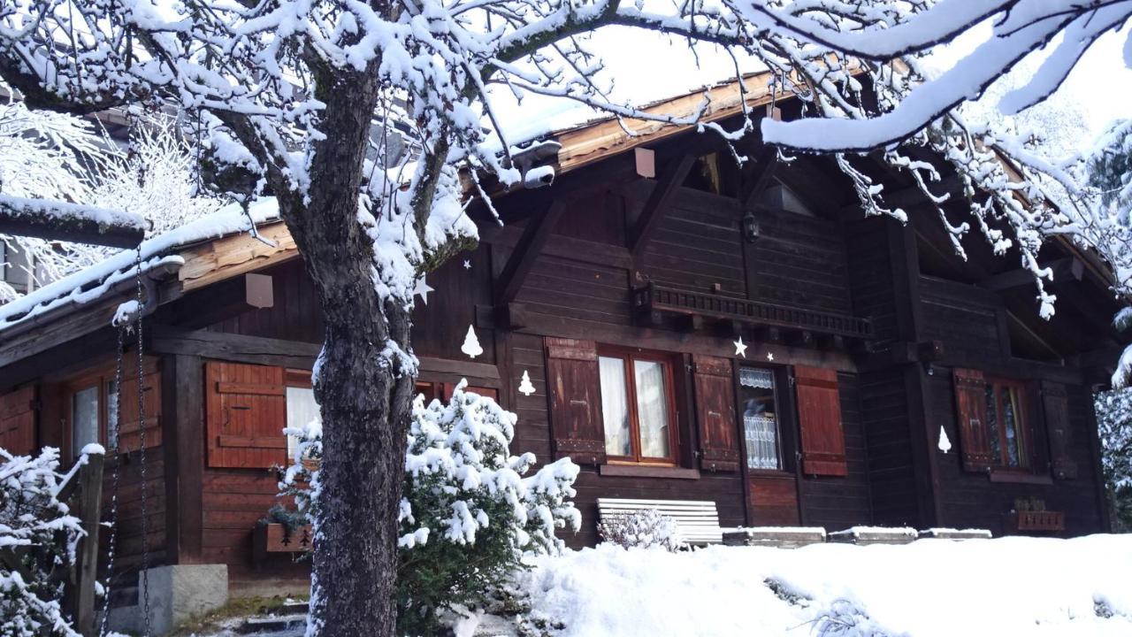Chalet Des Glaciers Шамони Экстерьер фото